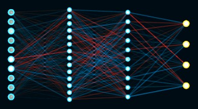 Fig. 1. The neural network used for the simulation.